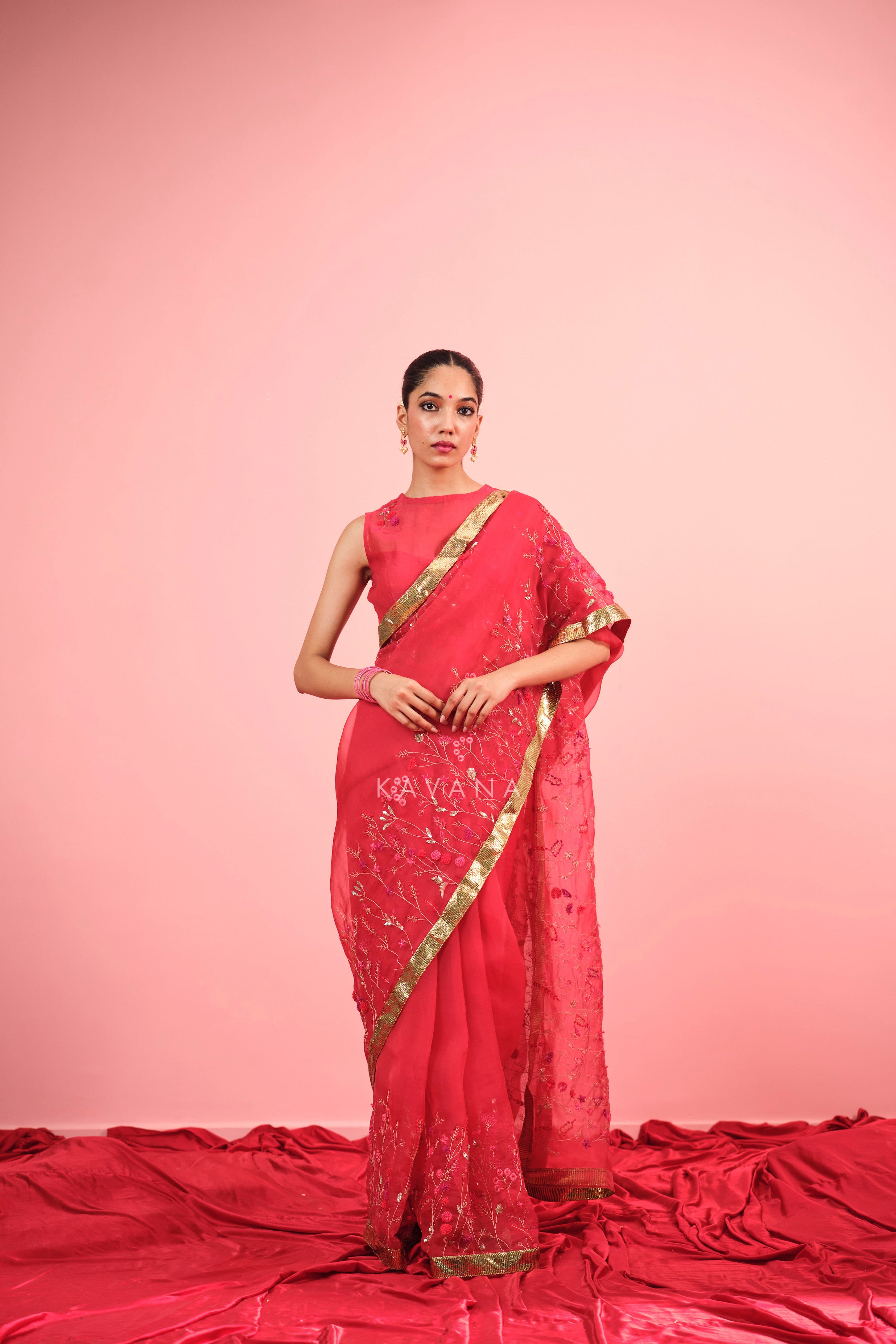 Aarzoo Silk Organza Sari